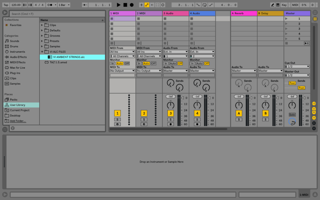 Ableton Live Clip (ALC) Files4